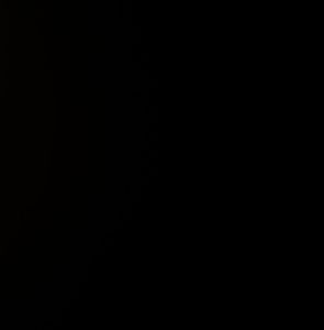 Meet your Posher, Allen